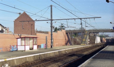 Haren - i2606.jpg
